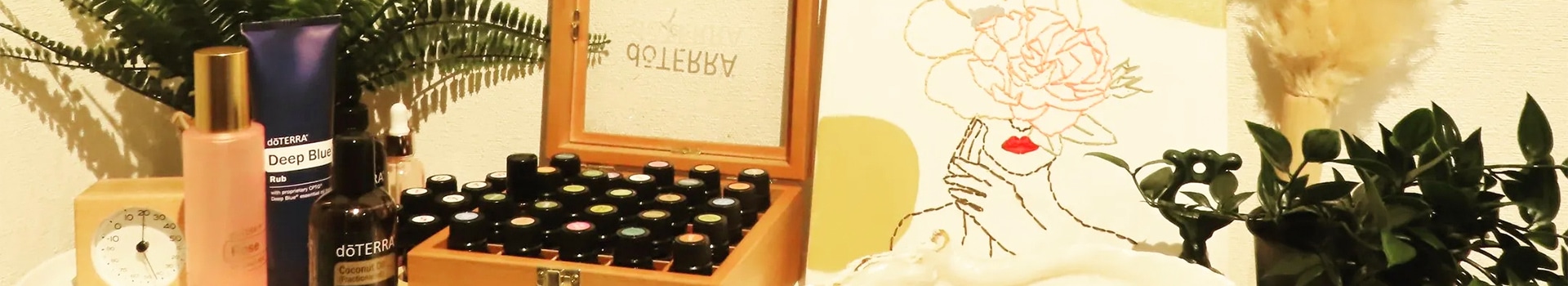 料金・メニュー